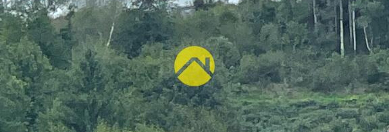 Maison 1 Pièce  m² à vendre à Pierrefort (15230)