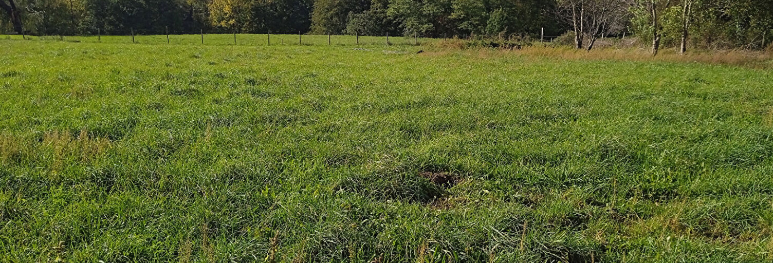 Terrain  997 m² à vendre à Saint-Aubin-de-Blaye (33820)