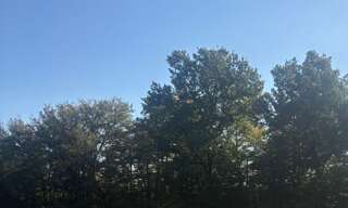 Terrain  600 m² à vendre à Cadarsac (33750)