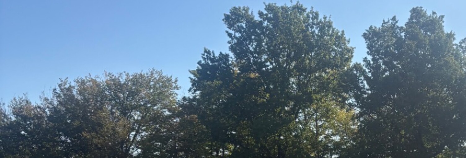 Terrain  600 m² à vendre à Cadarsac (33750)