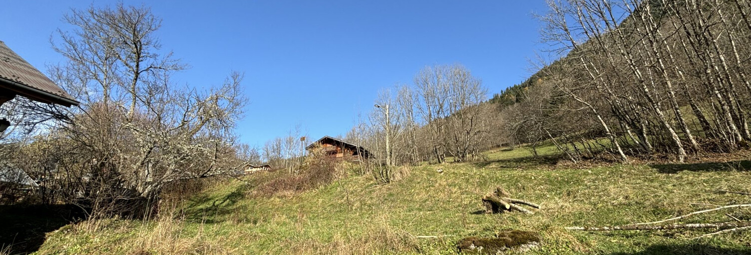 Terrain  223 m² à vendre à Saint-Jean-d'Aulps (74430)