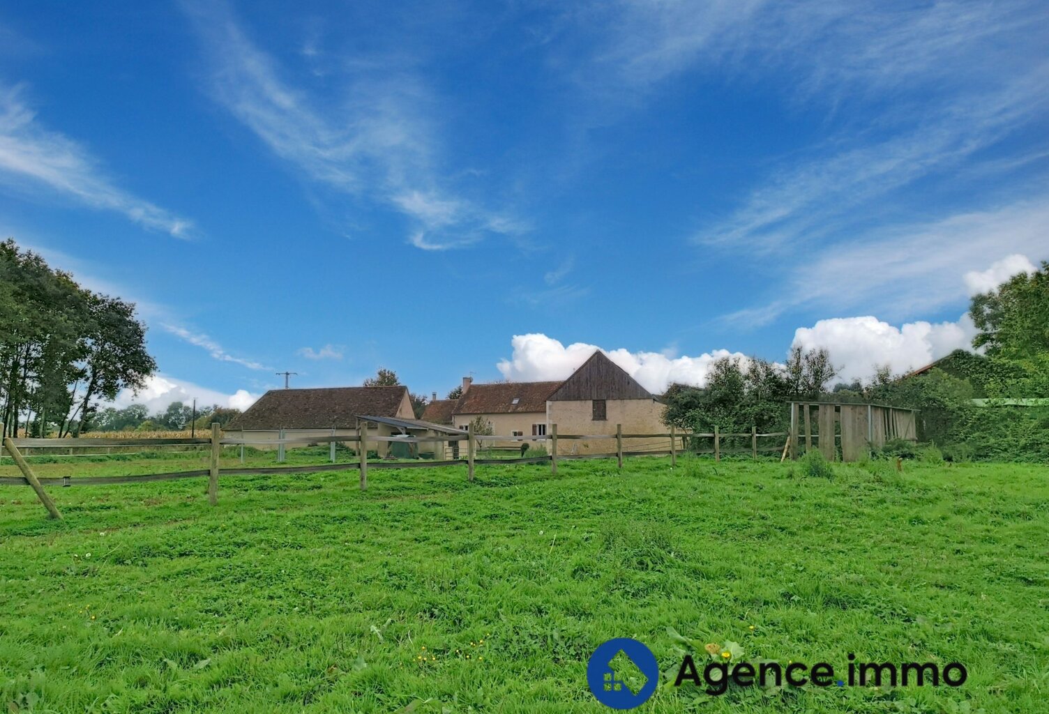 Haras pour chevaux de courses — photo 1