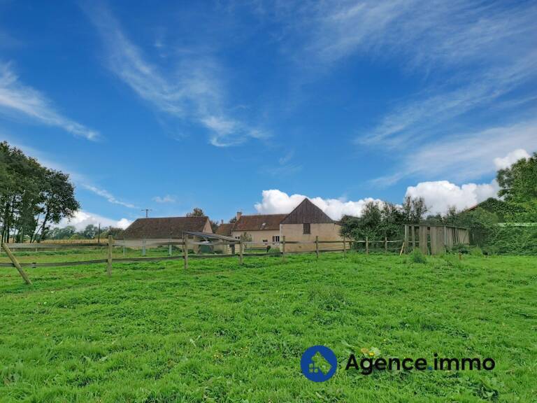 Haras pour chevaux de courses — photo 1