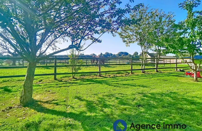 Haras pour chevaux de courses — photo 3
