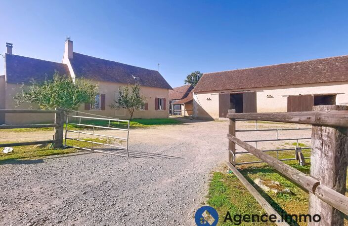 Haras pour chevaux de courses — photo 5