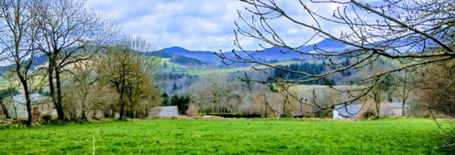 Terrain  7051 m² à vendre à Le Pertuis (43200)