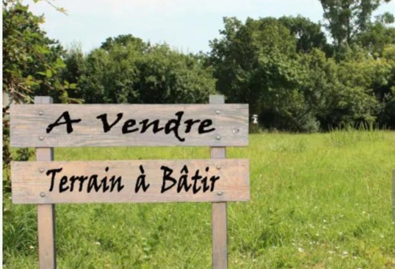 Le Perthuis, belles parcelles de terrains à vendre (7050 m² dont 3720 m² constructibles) — photo 1