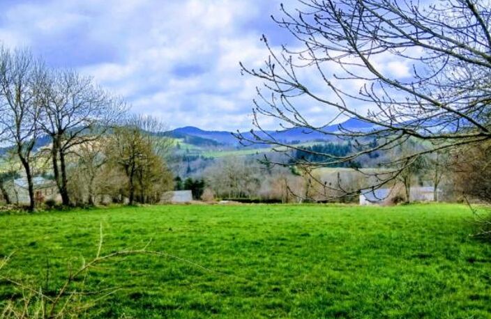 Le Perthuis, belles parcelles de terrains à vendre (7050 m² dont 3720 m² constructibles) — photo 2