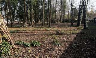 Terrain  1014 m² à vendre à Congis-sur-Thérouanne (77440)