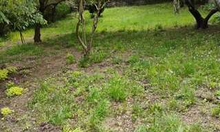 Terrain  1500 m² à vendre à Uzès (30700)