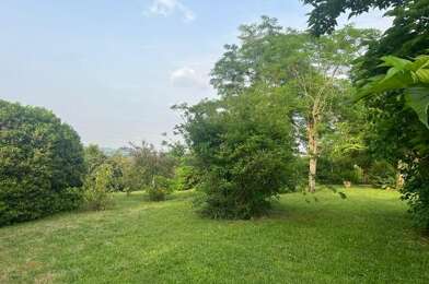 Terrain  239000 €