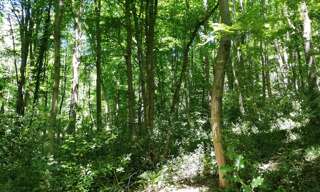 Terrain  8000 m² à vendre à Dampierre-en-Yvelines (78720)