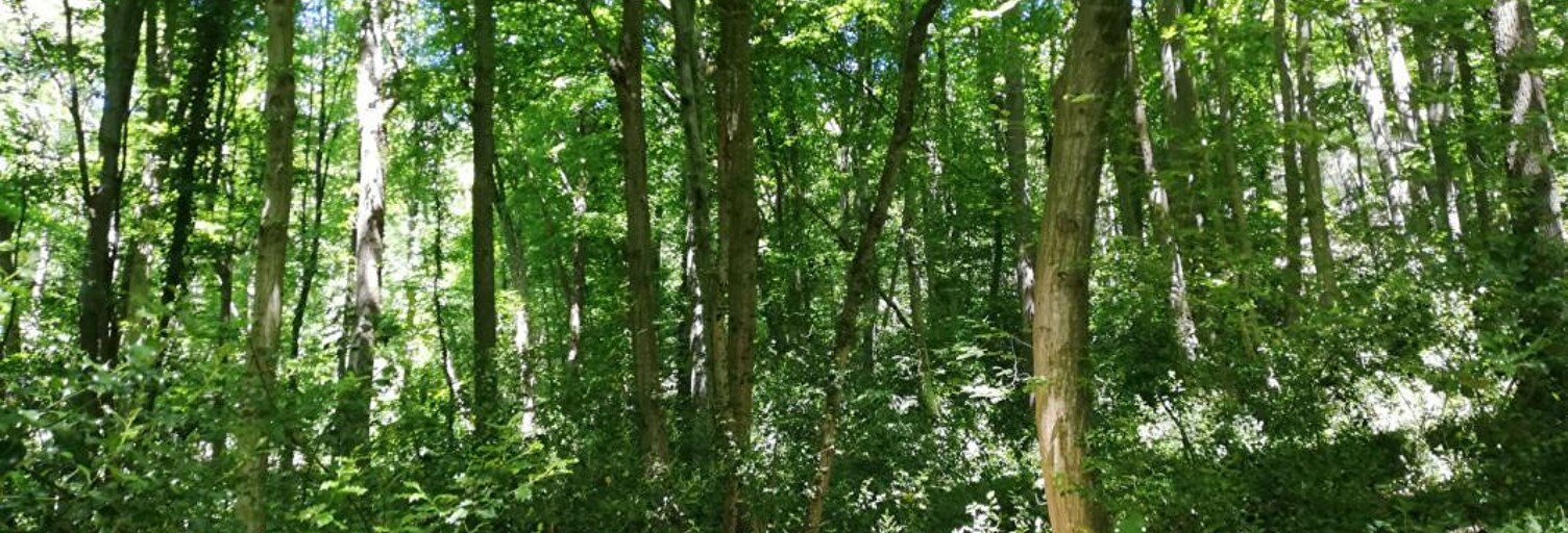 Terrain  8000 m² à vendre à Dampierre-en-Yvelines (78720)