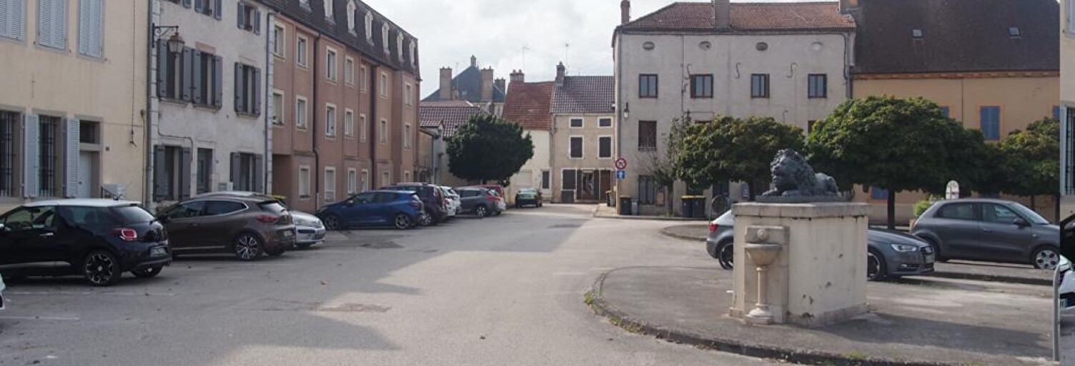 Appartement 3 Pièces 70 m² à vendre à Saint-Jean-de-Losne (21170)