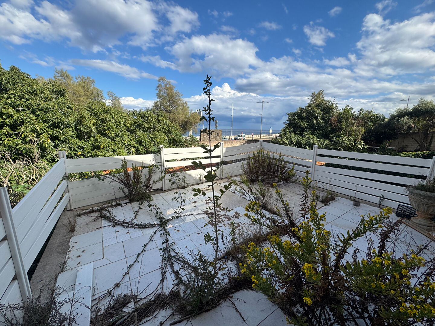 Local commercial  à vendre Bastia 20200