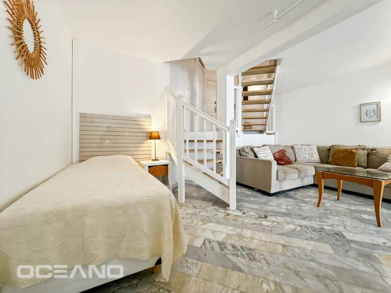 Ensemble de 2 appartements (T3 & T2)  avec terrasses  - charme et rentabilité — photo 1