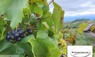 Terrain  27297 m² à vendre à Fleurie (69820)