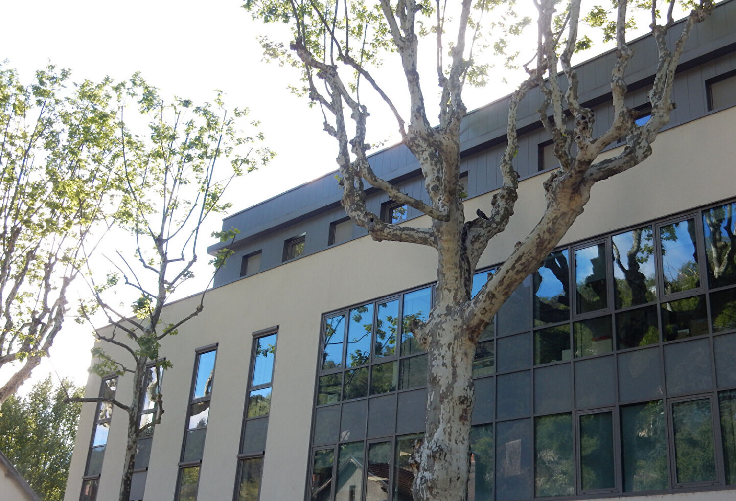 Bureaux - Vienne  Saint Germain - 172 m2 — photo 1