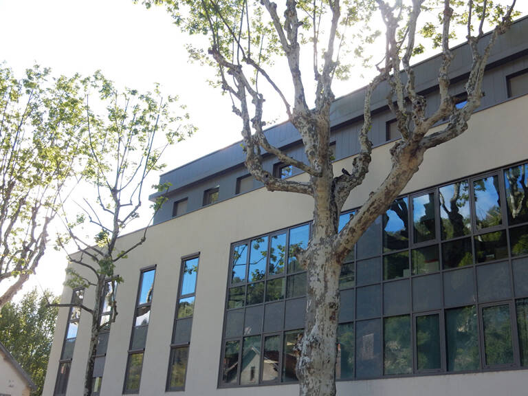 Bureaux - Vienne  Saint Germain - 172 m2 — photo 1