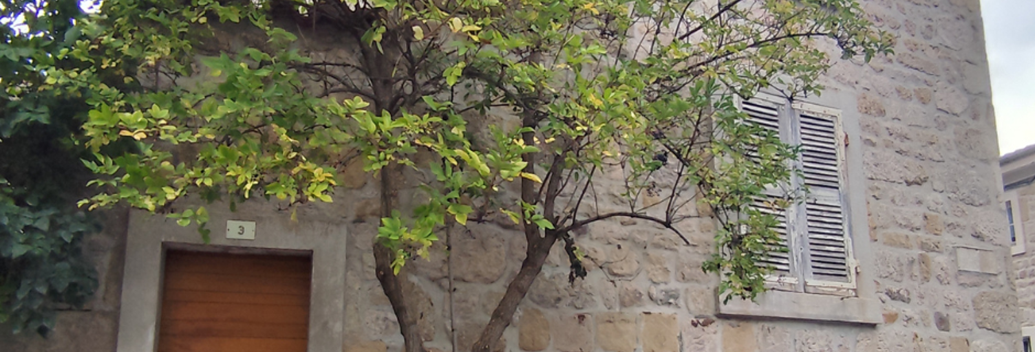 Maison 3 Pièces 75 m² à vendre à Saint-Bonnet-le-Château (42380)