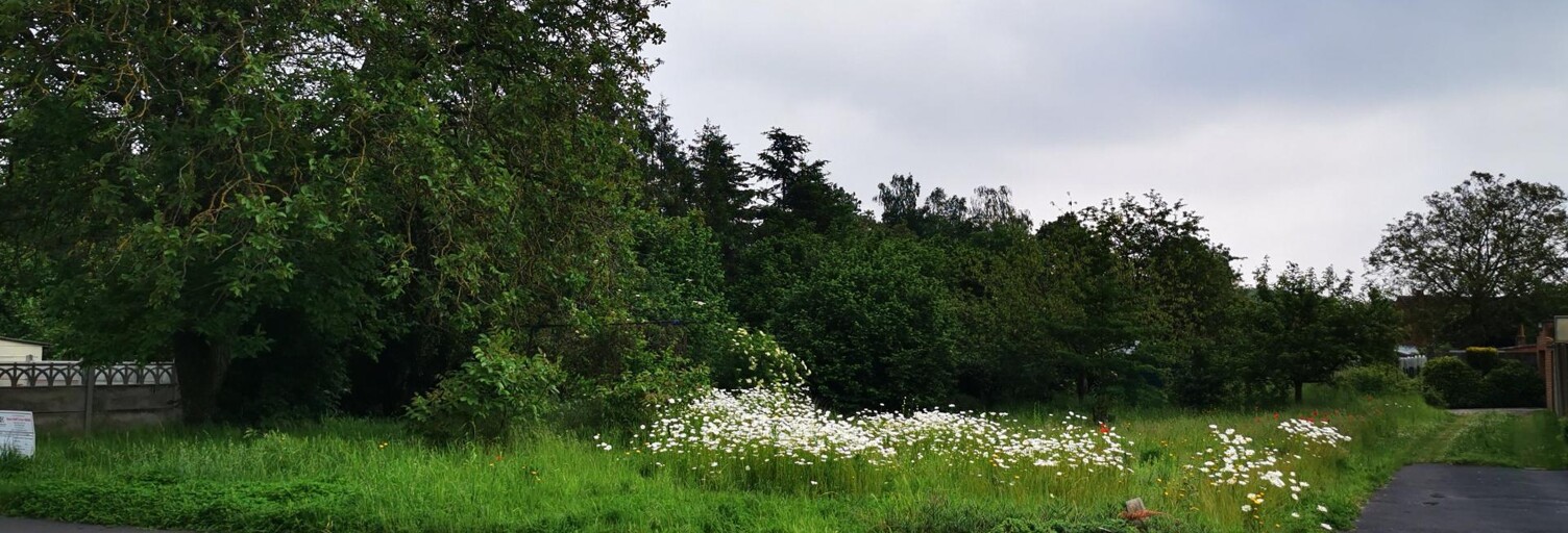 Terrain  780 m² à vendre à Pecquencourt (59146)