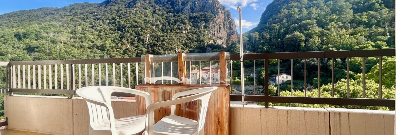 Appartement 1 Pièce 28 m² à vendre à Amélie-les-Bains-Palalda (66110)