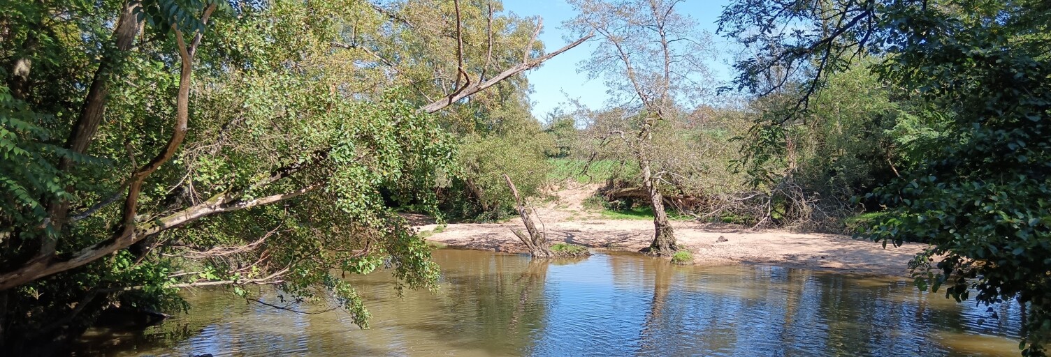 Maison 5 Pièces 80 m² à vendre à Saint-Léger-sur-Vouzance (03130)