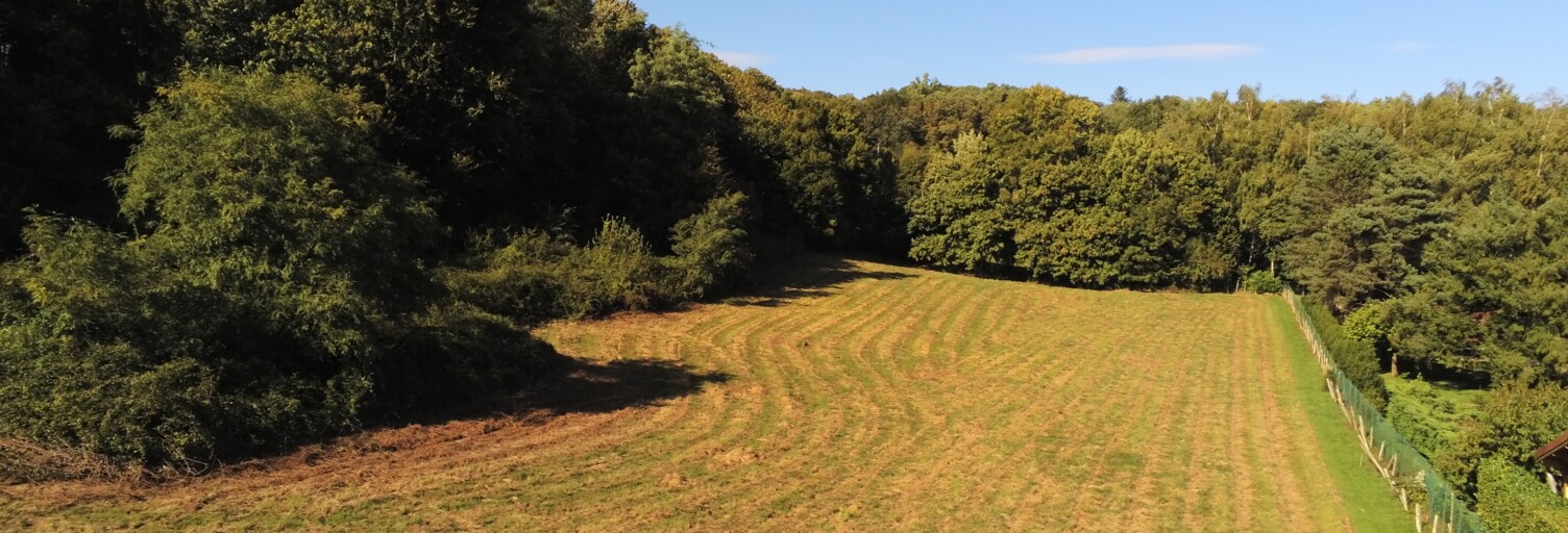 Terrain  10089 m² à vendre à Neuville-sur-Ain (01160)