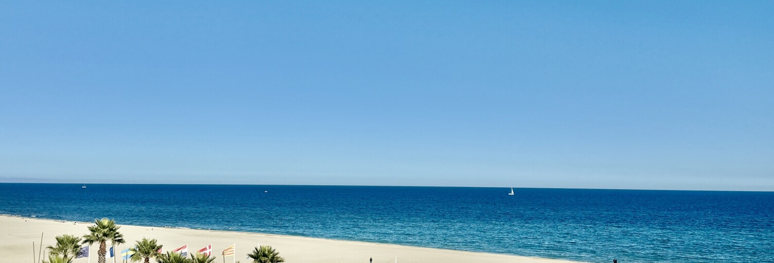 Appartement 2 Pièces 25 m² à vendre à Canet-en-Roussillon (66140)