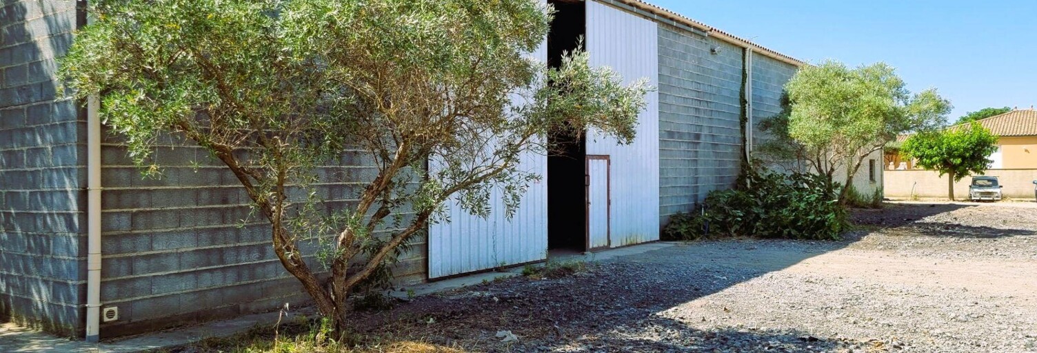 Maison 1 Pièce 360 m² à vendre à Puissalicon (34480)