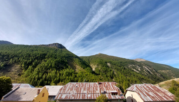 Villa / Maison 14 pièces  à vendre Condamine-Châtelard (La) 04530