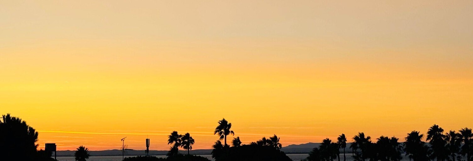 Appartement 2 Pièces 20 m² à vendre à Le Grau-du-Roi (30240)