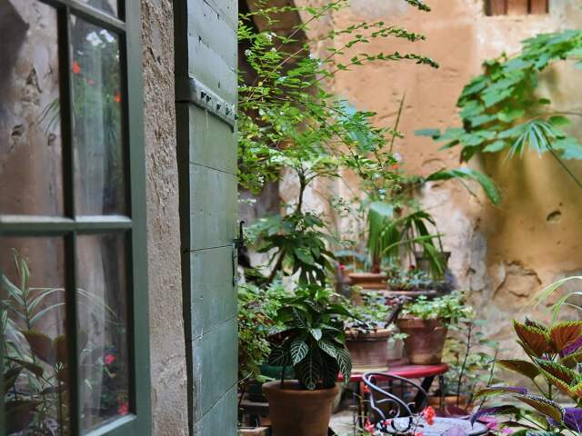 Petit appartement au coeur d'Uzès — photo du bien