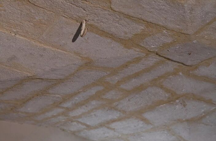 Petit appartement au coeur d'Uzès — photo 3