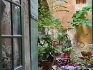Petit appartement au coeur d'Uzès — photo 4