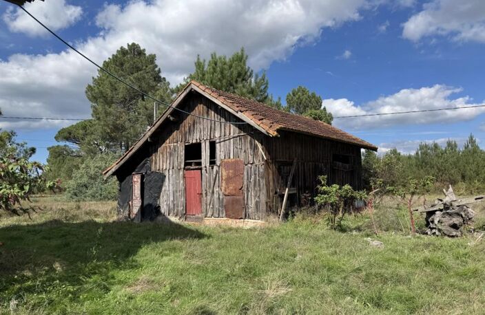 Maison de Maître de 175 m2 Escource 20 mn de Mimizan — photo 4