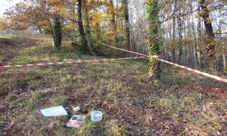 Maison  1350 m² à vendre à Albi (81000)