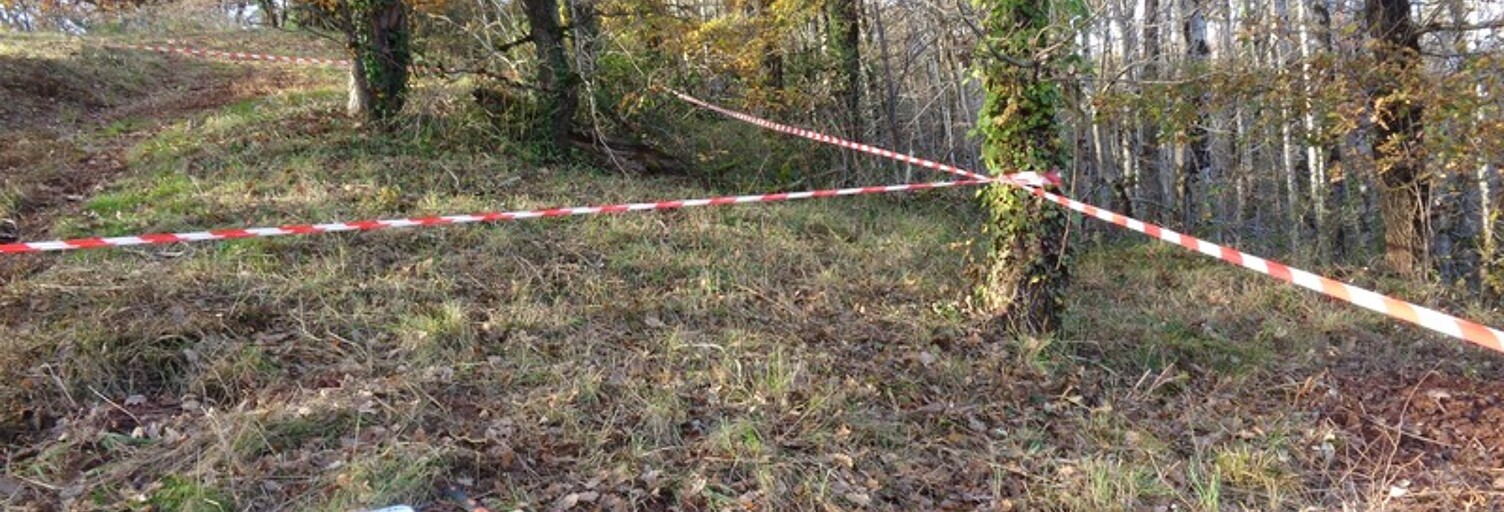 Maison  1350 m² à vendre à Albi (81000)