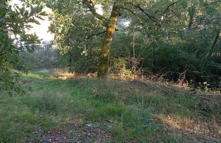 Terrain à vendre  ALBI (81) — photo 4