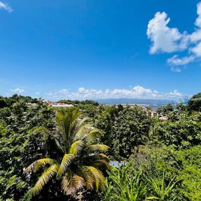 Appartement 3 pièces 780 €