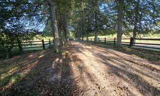 Maison 11 Pièces 195 m² à vendre à Mortagne-au-Perche (61400)