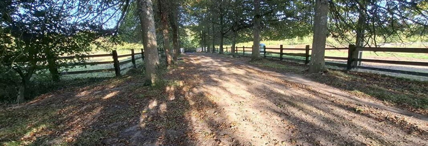 Maison 11 Pièces 195 m² à vendre à Mortagne-au-Perche (61400)