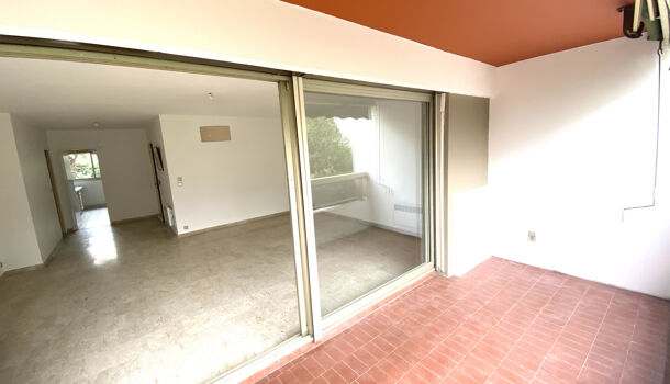 Appartement 3 pièces  à louer Marseille 9eme 13009