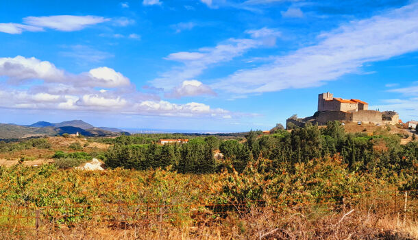 Terrain  à vendre Montalba-le-Château 66130