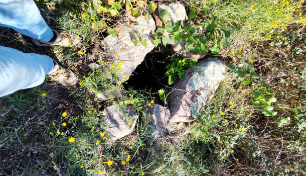 Terrain  à vendre Montalba-le-Château 66130