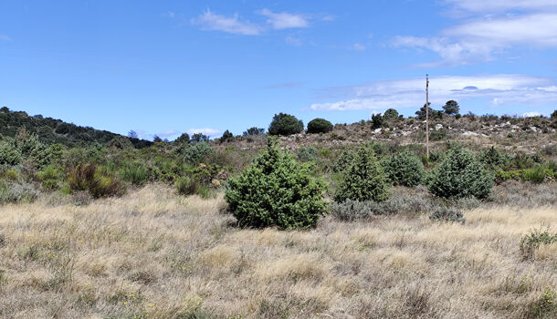 Terrain  à vendre Montalba-le-Château 66130