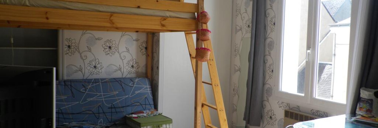 Appartement 1 Pièce 15 m² à louer à Tours (37000)