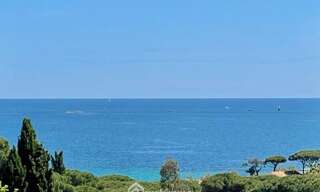 Appartement 1 Pièce 21 m² à vendre à Sainte-Maxime (83120)