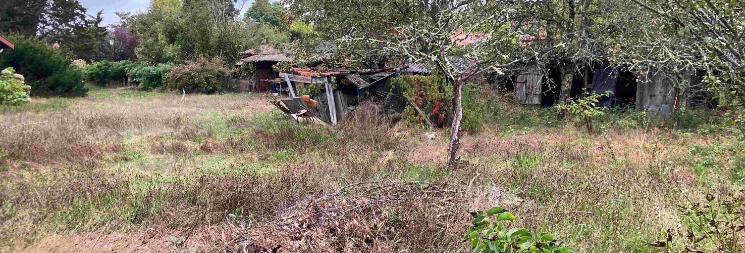 Terrain  600 m² à vendre à Landiras (33720)