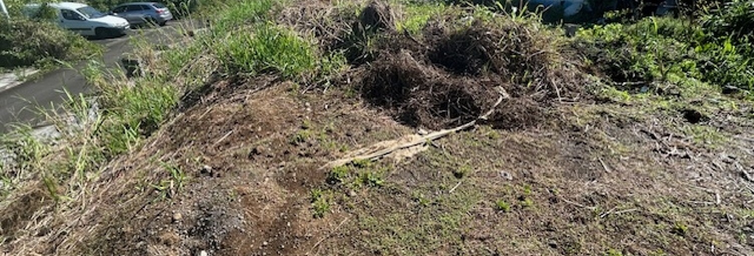 Terrain  421 m² à vendre à Saint-Leu (97424)